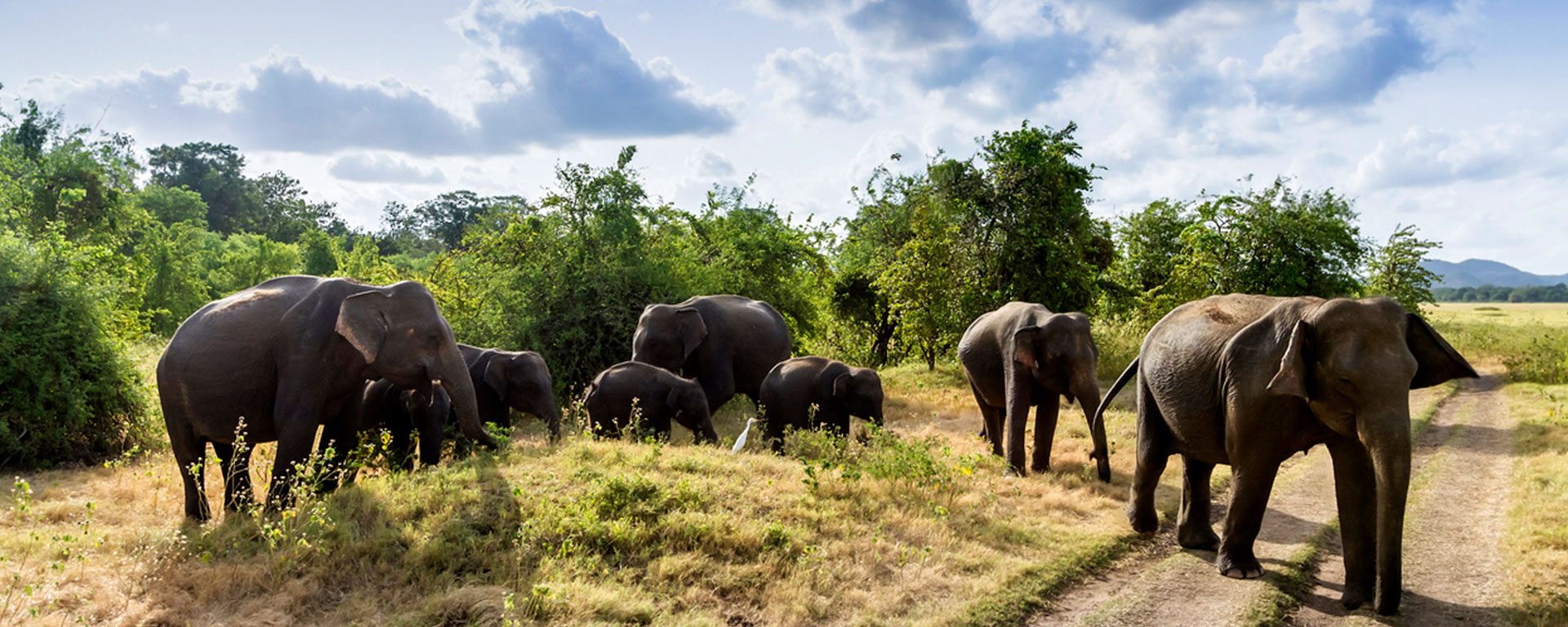 11 platser du inte vill missa på Sri Lanka